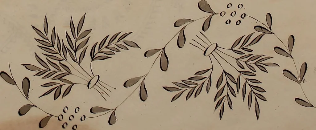 An illustration from [Embroidery designs, 1850, leaf 72