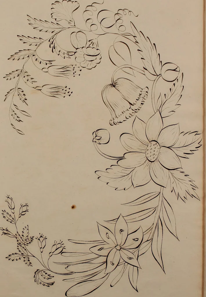 An illustration from [Embroidery designs, 1850, leaf 94