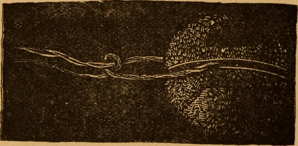 An illustration from Embroidery and fancy work, containing directions for embroidering, painting, modelling, carving, etc, 1899, leaf 217