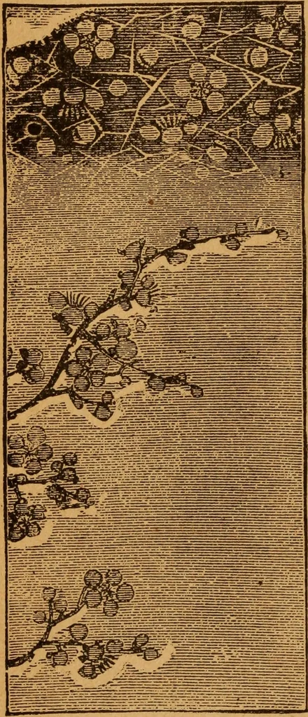 An illustration from Embroidery and fancy work, containing directions for embroidering, painting, modelling, carving, etc, 1899, leaf 23