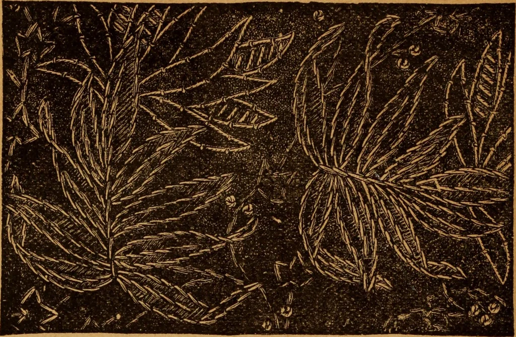 An illustration from Embroidery and fancy work, containing directions for embroidering, painting, modelling, carving, etc, 1899, leaf 305