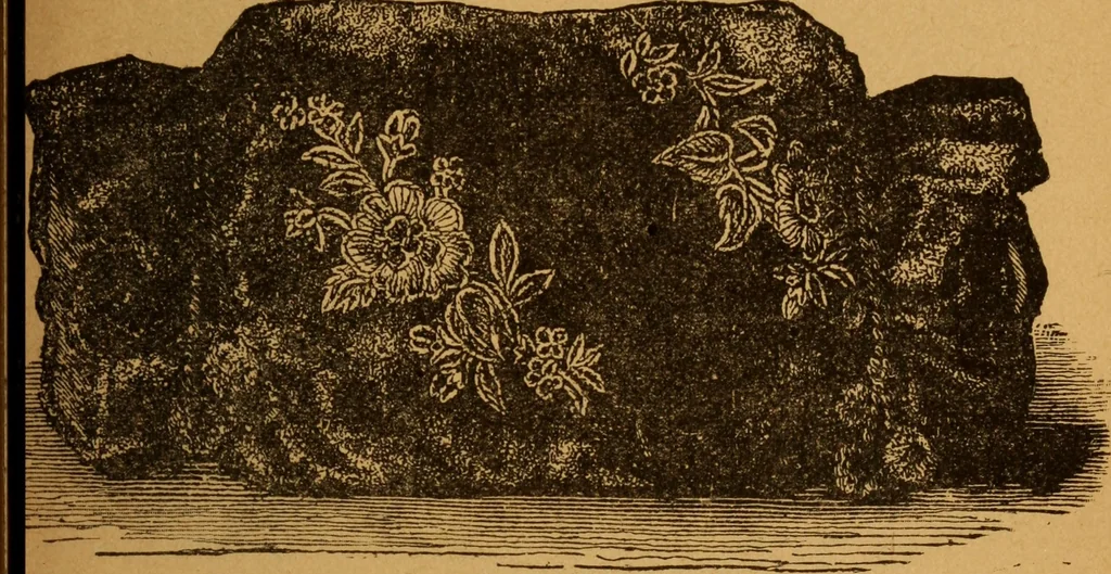 An illustration from Embroidery and fancy work, containing directions for embroidering, painting, modelling, carving, etc, 1899, leaf 46