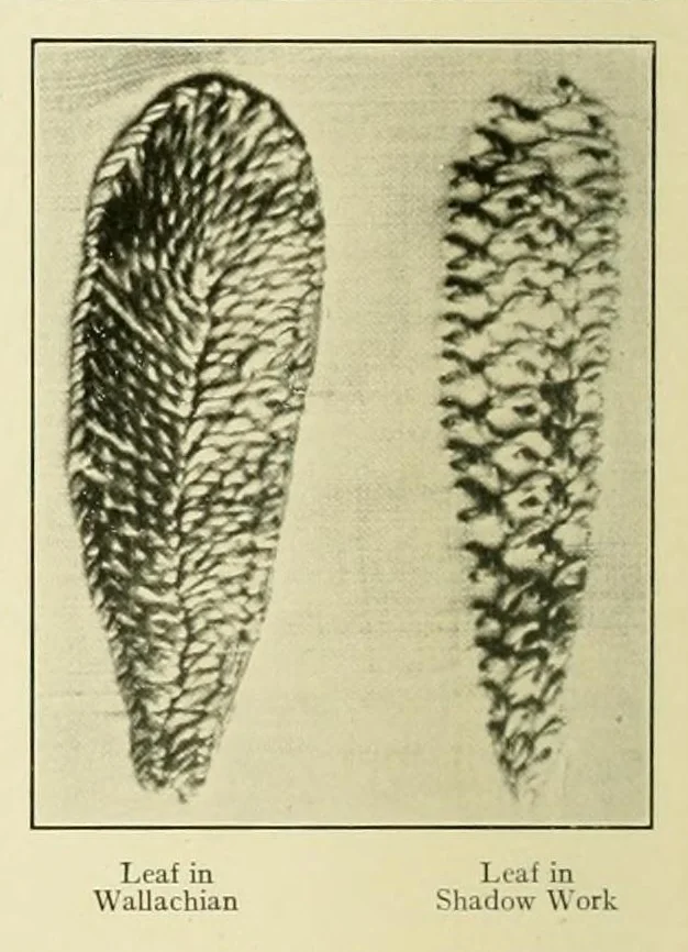 An illustration from The embroidery guide, 1910, leaf 24
