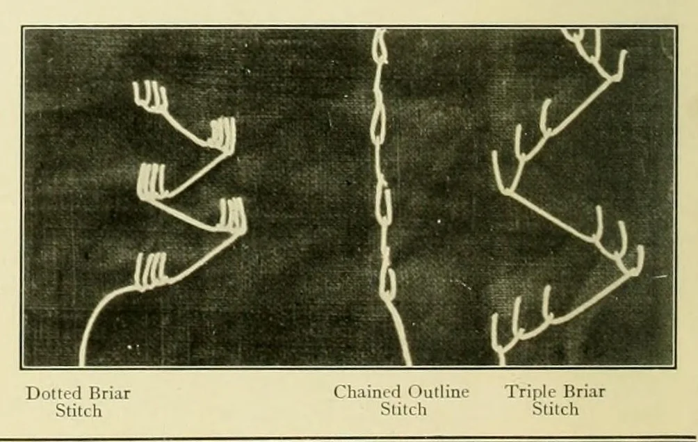An illustration from The embroidery guide, 1910, leaf 28