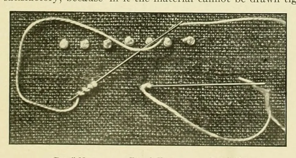 An illustration from The embroidery guide, 1910, leaf 6