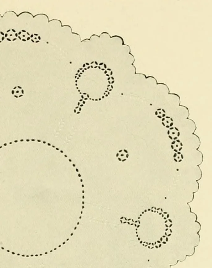 An illustration from The embroidery guide, 1910, leaf 9