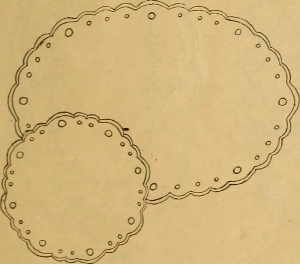 An illustration from Embroidery hints: Fall and Winter 1910, 1910, leaf 16