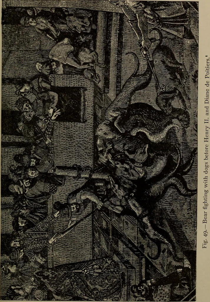 An illustration from Embroidery and lace: their manufacture and history from the remotest antiquity to the present day. A handbook for amateurs, collectors and general readers, 1888, leaf 128