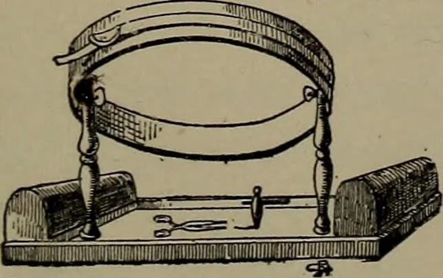An illustration from Embroidery and lace: their manufacture and history from the remotest antiquity to the present day. A handbook for amateurs, collectors and general readers, 1888, leaf 20