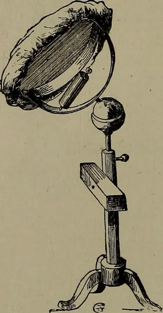 An illustration from Embroidery and lace: their manufacture and history from the remotest antiquity to the present day. A handbook for amateurs, collectors and general readers, 1888, leaf 21