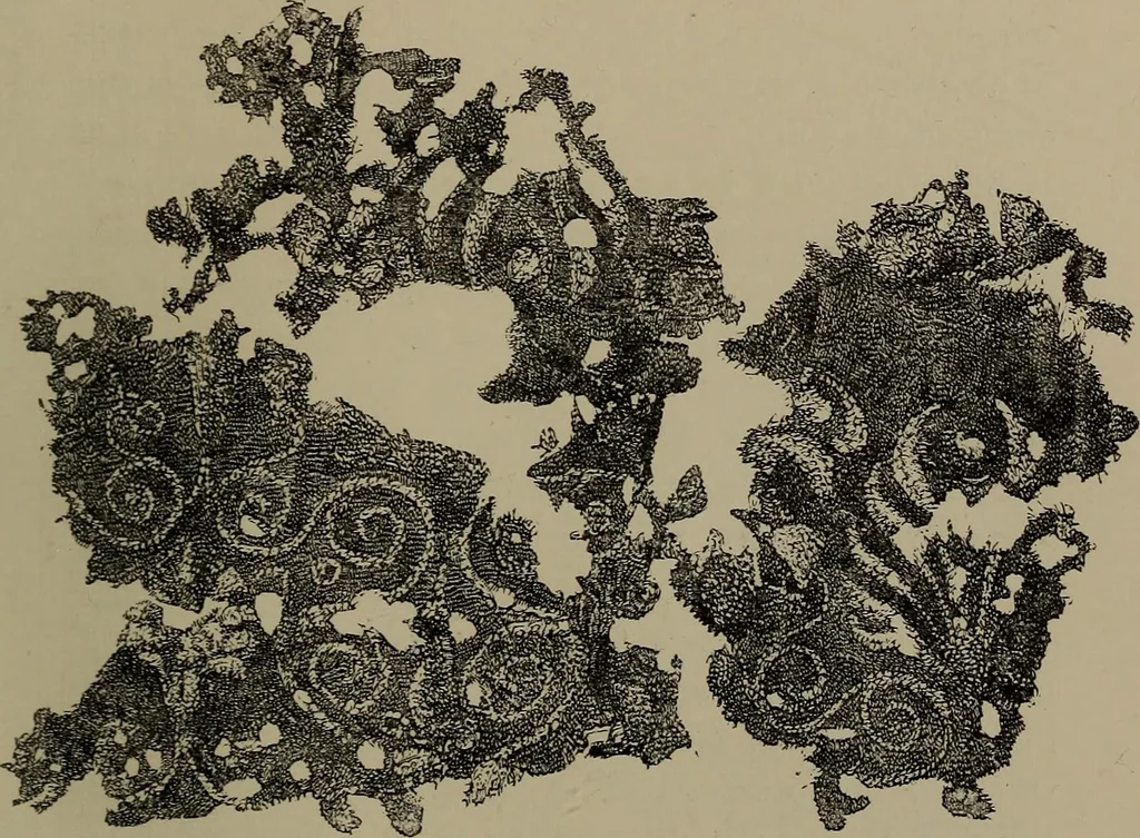 An illustration from Embroidery and lace: their manufacture and history from the remotest antiquity to the present day. A handbook for amateurs, collectors and general readers, 1888, leaf 60