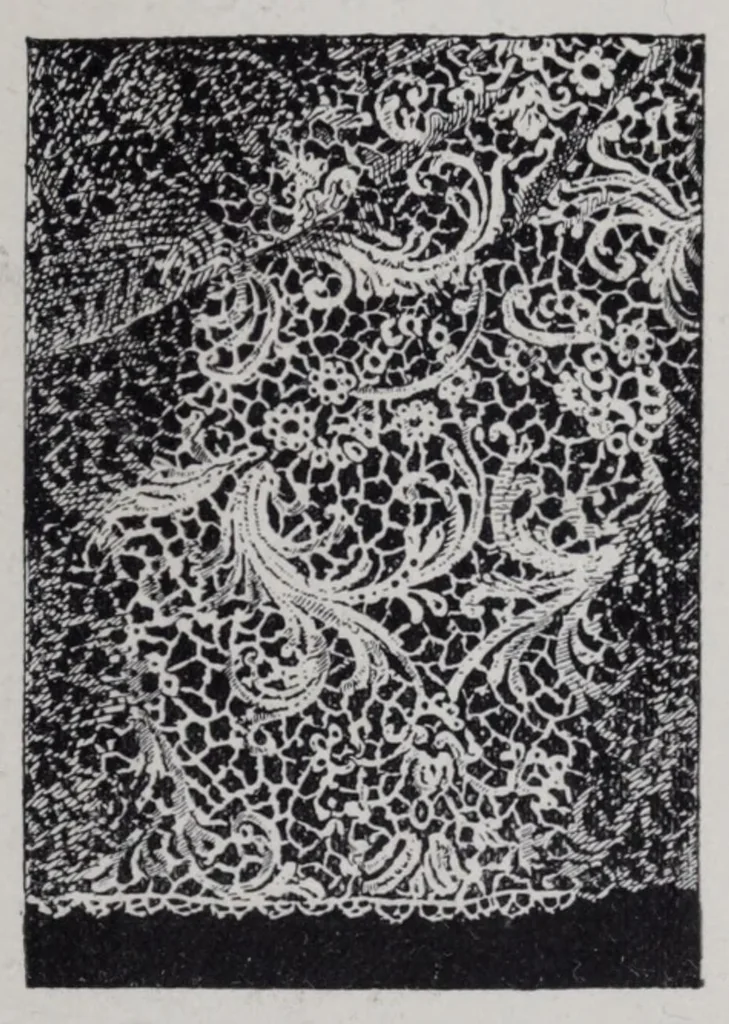 An illustration from Embroidery and lace: their manufacture and history from the remotest antiquity to the present day. A handbook for amateurs, collectors, and general readers, 1888, leaf 235