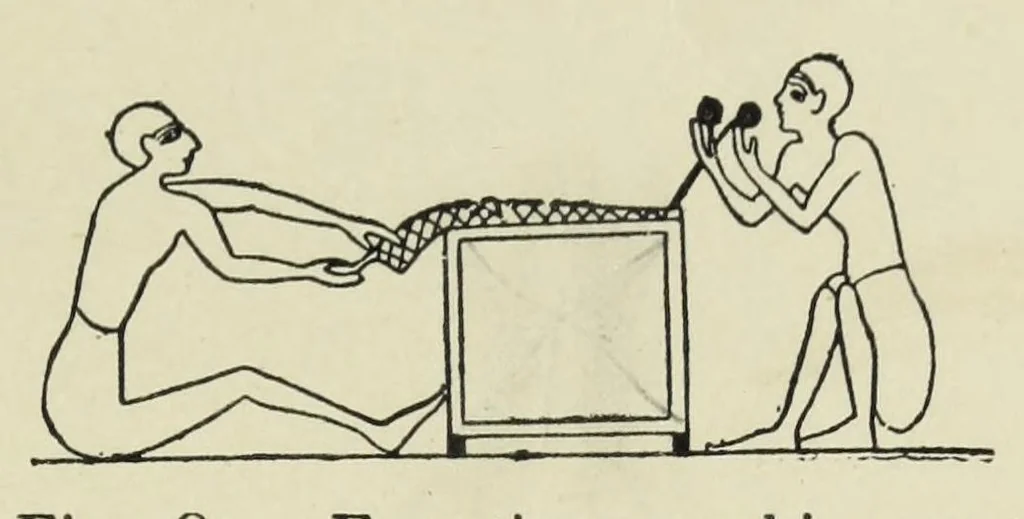 An illustration from Embroidery and lace : their manufacture and history, 1899, leaf 185