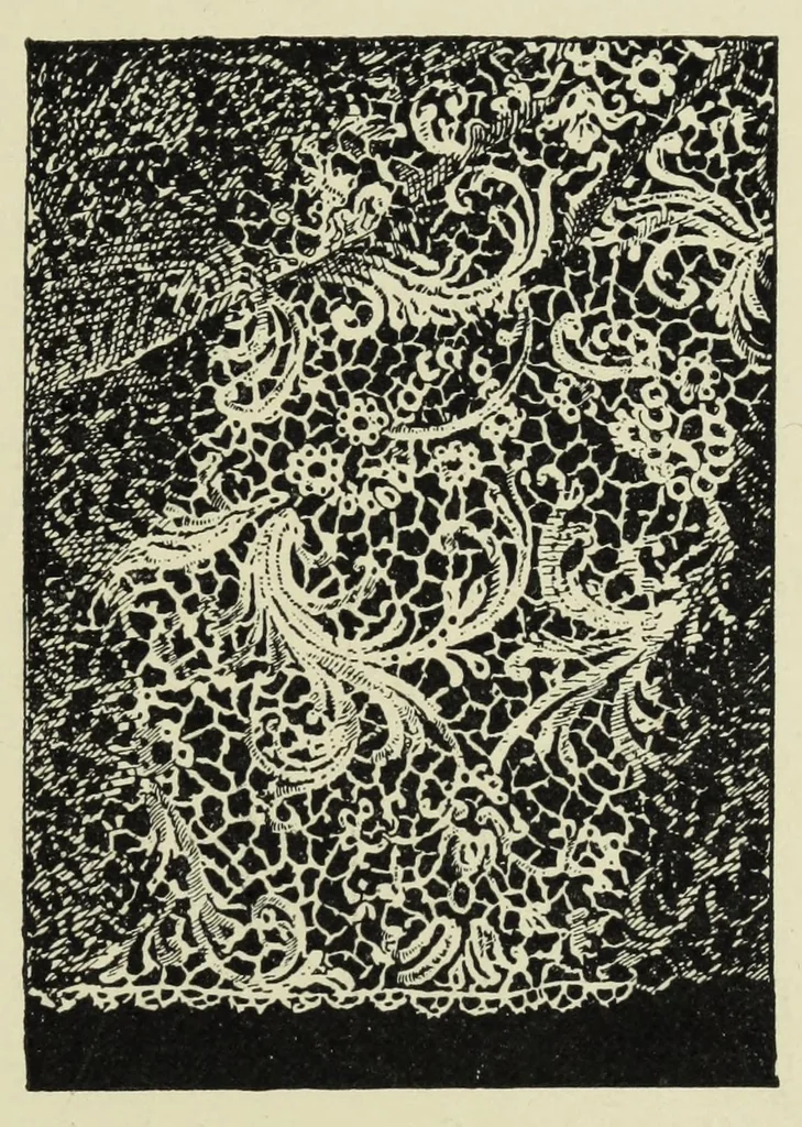 An illustration from Embroidery and lace : their manufacture and history, 1899, leaf 233