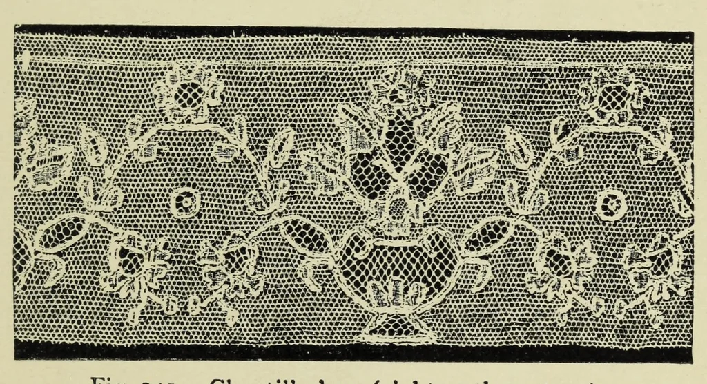 An illustration from Embroidery and lace : their manufacture and history, 1899, leaf 311