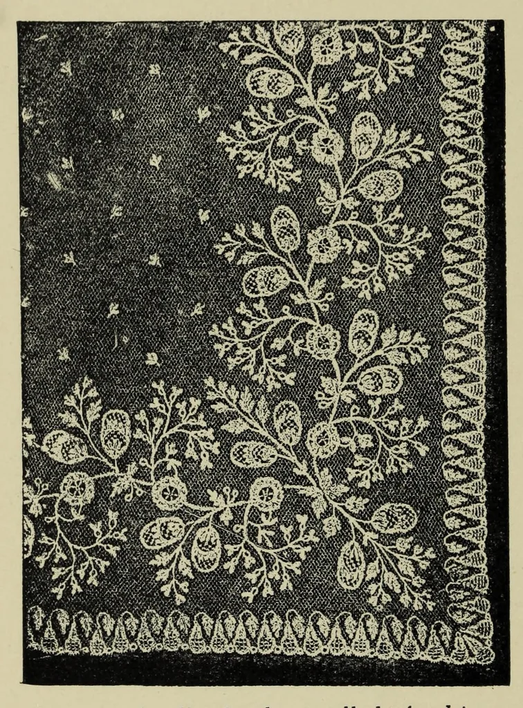 An illustration from Embroidery and lace : their manufacture and history, 1899, leaf 322