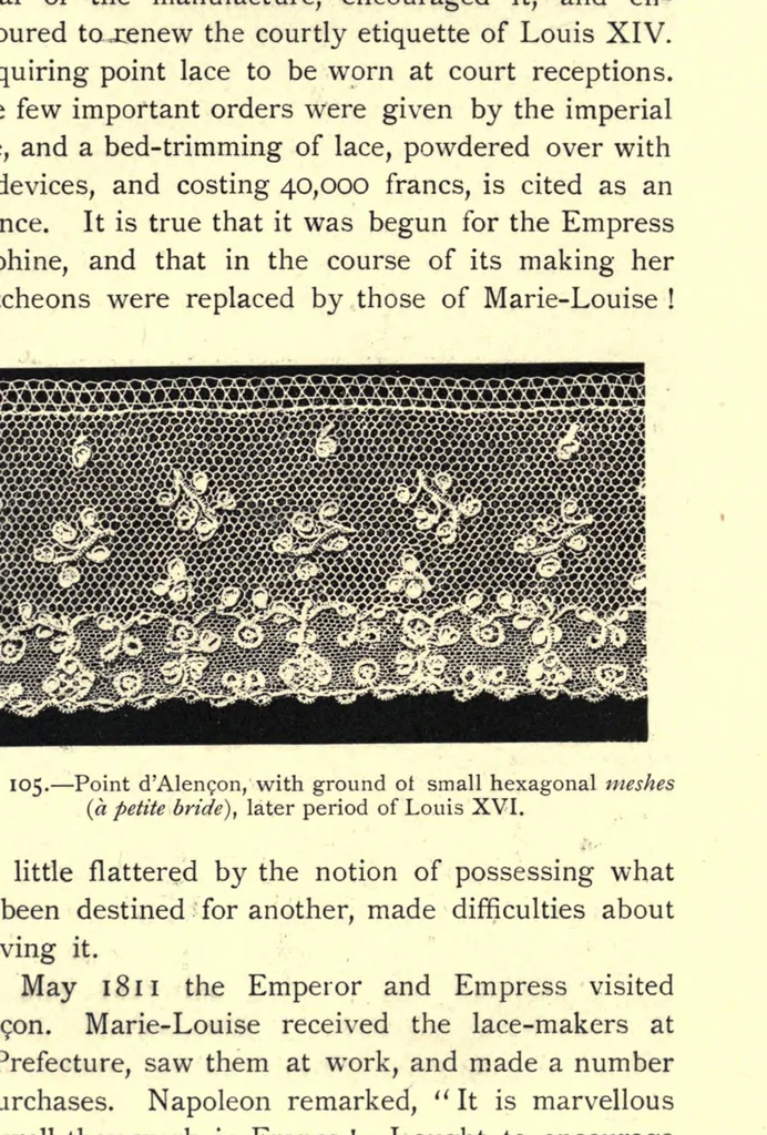 An illustration from Embroidery and lace; their manufacture and history from the remotest antiquity to the present day. A handbook for amateurs, collectors, and general readers, 1888, leaf 253