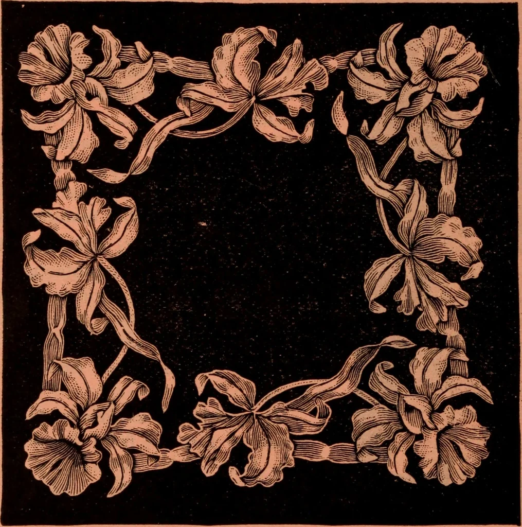 An illustration from Embroidery silks, 1900, leaf 12