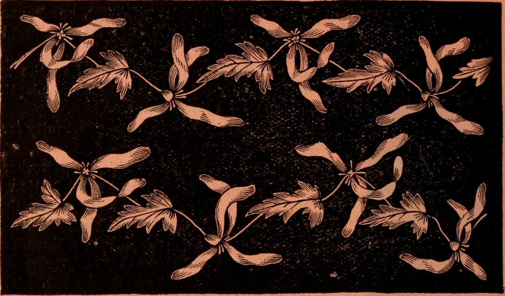 An illustration from Embroidery silks, 1900, leaf 20