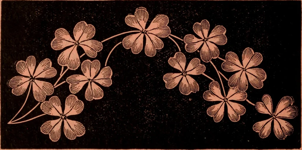 An illustration from Embroidery silks, 1900, leaf 20