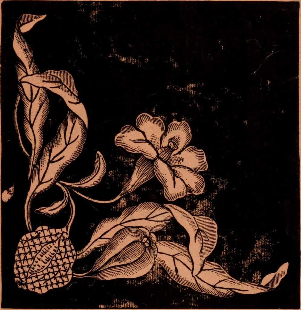 An illustration from Embroidery silks, 1900, leaf 21