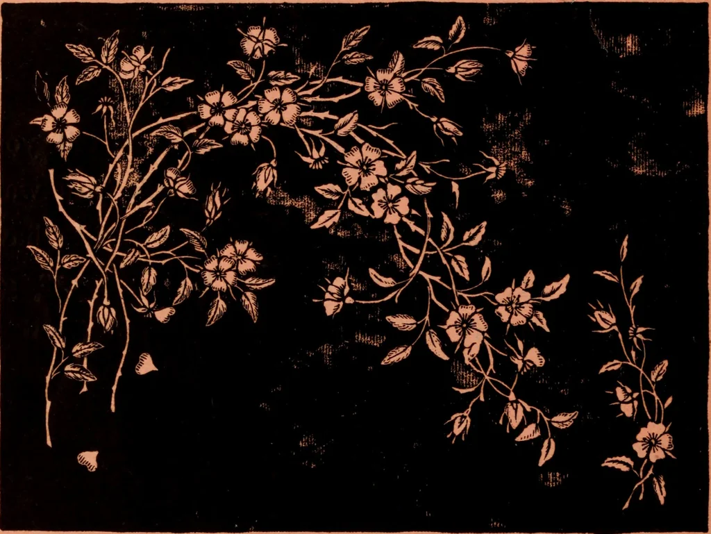 An illustration from Embroidery silks, 1900, leaf 24
