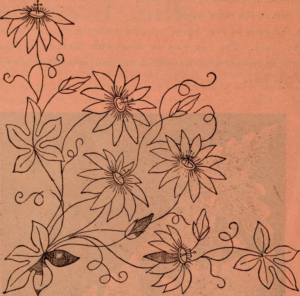 An illustration from Embroidery silks, 1900, leaf 32