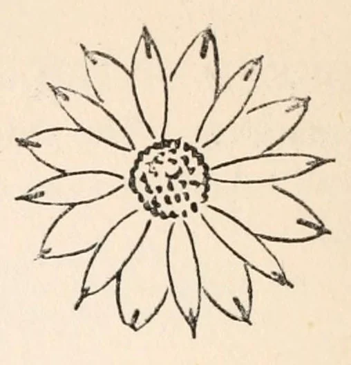 An illustration from Embroidery stitches, 1912, leaf 148