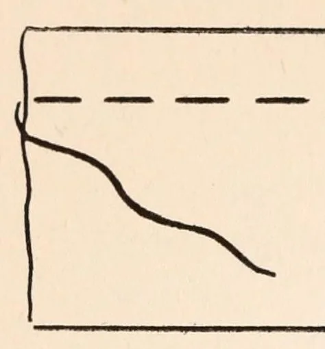 An illustration from Embroidery stitches, 1912, leaf 160