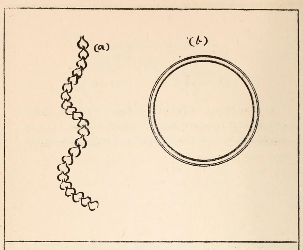 An illustration from Embroidery stitches, 1912, leaf 184