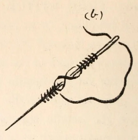 An illustration from Embroidery stitches, 1912, leaf 196