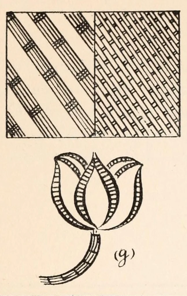An illustration from Embroidery stitches, 1912, leaf 62