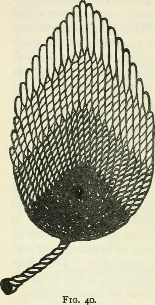 An illustration from Embroidery and tapestry weaving : a practical text-book of design and workmanship, 1912, leaf 101