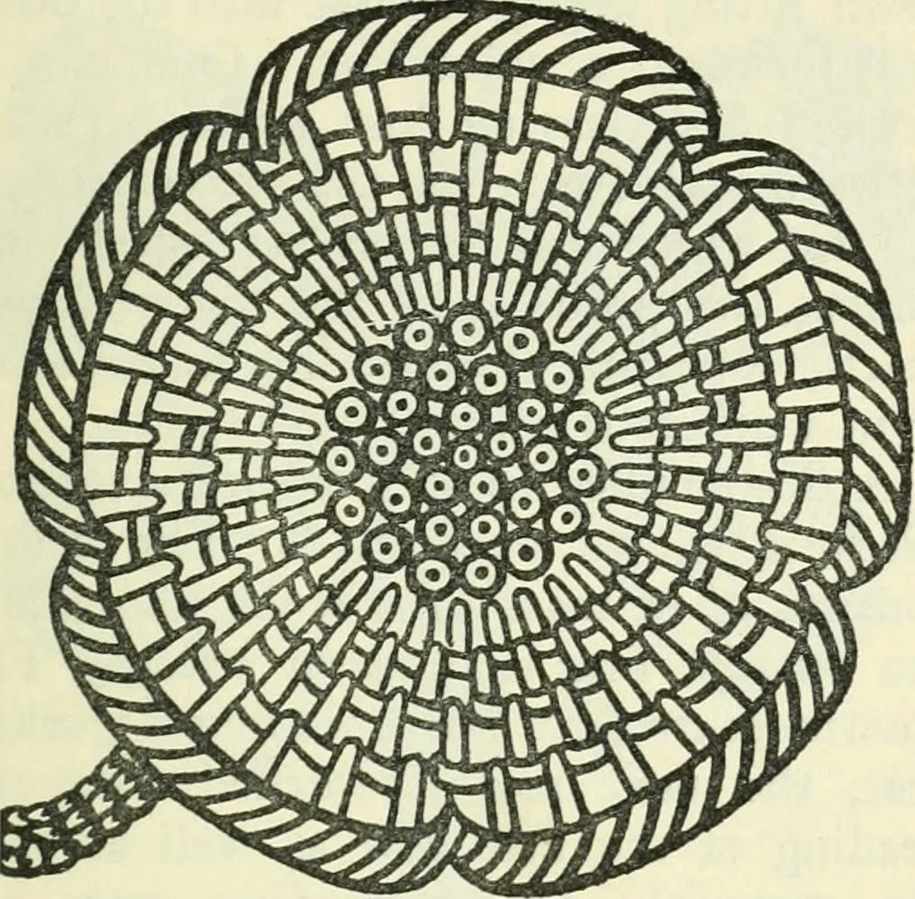 An illustration from Embroidery and tapestry weaving : a practical text-book of design and workmanship, 1912, leaf 114