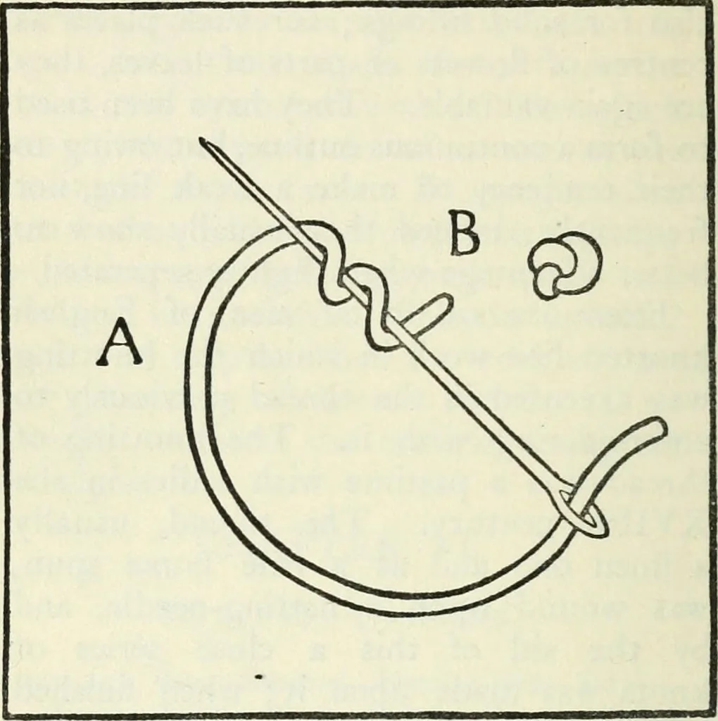 An illustration from Embroidery and tapestry weaving : a practical text-book of design and workmanship, 1912, leaf 123