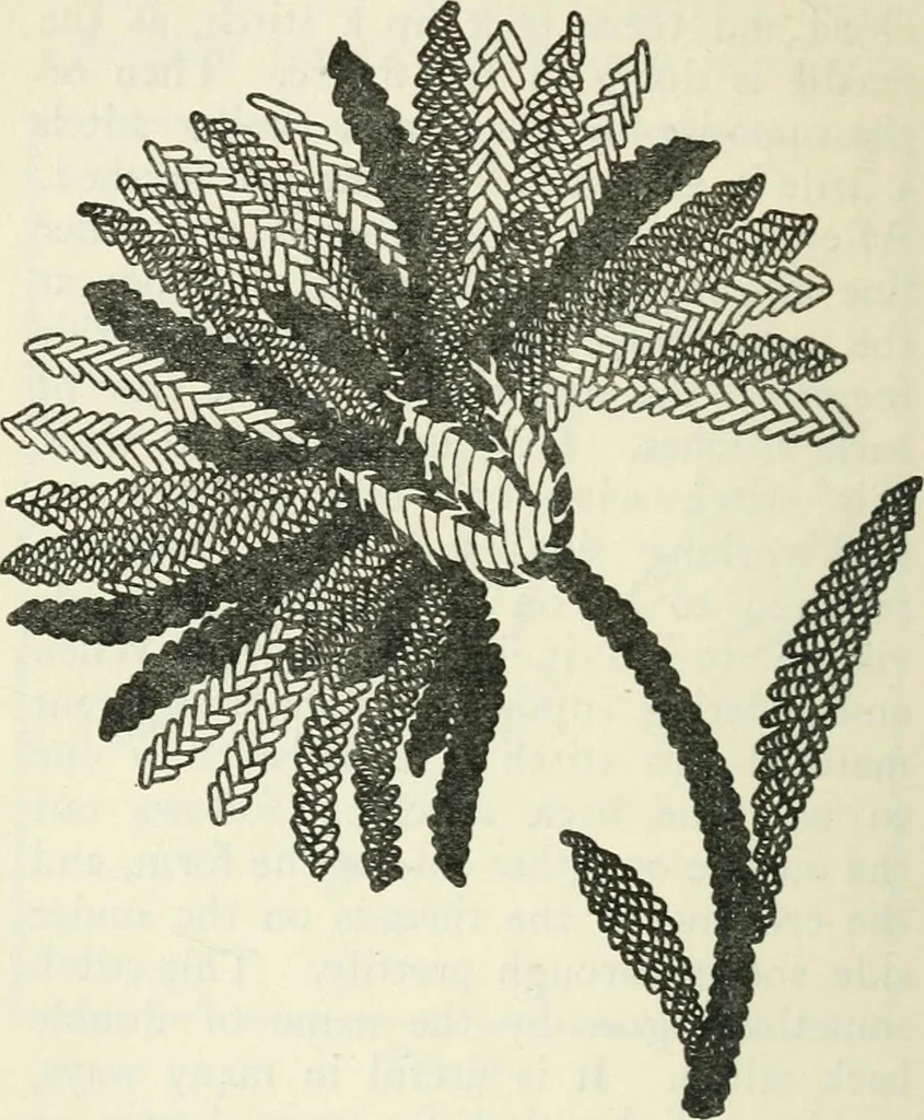 An illustration from Embroidery and tapestry weaving : a practical text-book of design and workmanship, 1912, leaf 131
