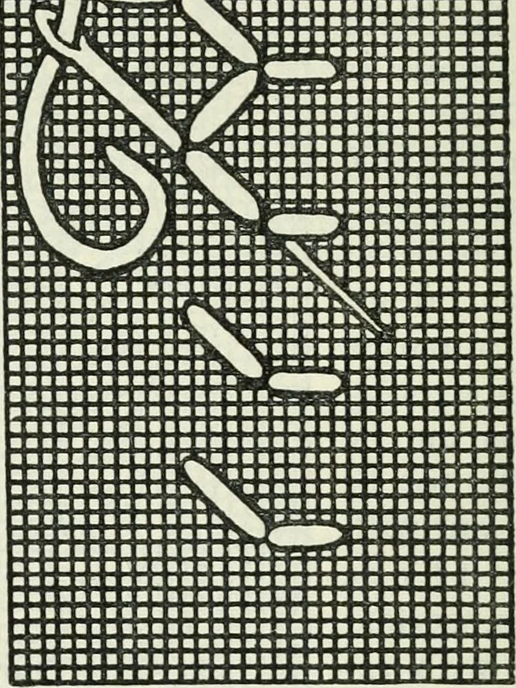 An illustration from Embroidery and tapestry weaving : a practical text-book of design and workmanship, 1912, leaf 163