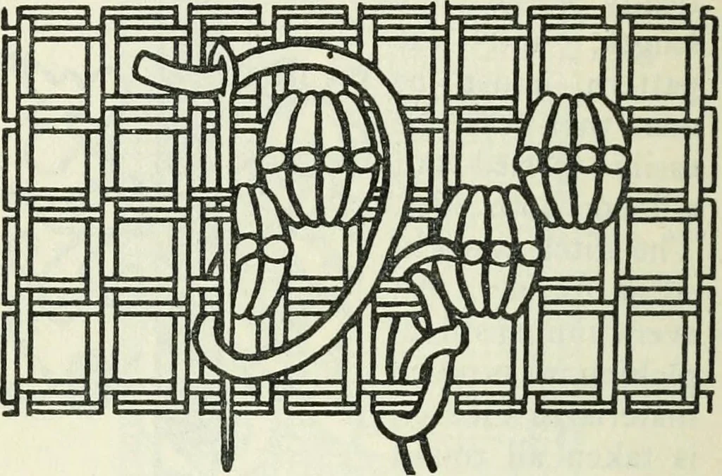 An illustration from Embroidery and tapestry weaving : a practical text-book of design and workmanship, 1912, leaf 165