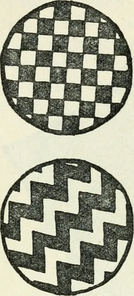 An illustration from Embroidery and tapestry weaving : a practical text-book of design and workmanship, 1912, leaf 173