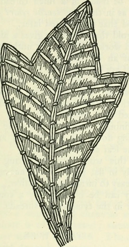 An illustration from Embroidery and tapestry weaving : a practical text-book of design and workmanship, 1912, leaf 174