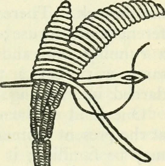 An illustration from Embroidery and tapestry weaving : a practical text-book of design and workmanship, 1912, leaf 198