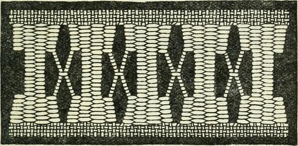 An illustration from Embroidery and tapestry weaving : a practical text-book of design and workmanship, 1912, leaf 222