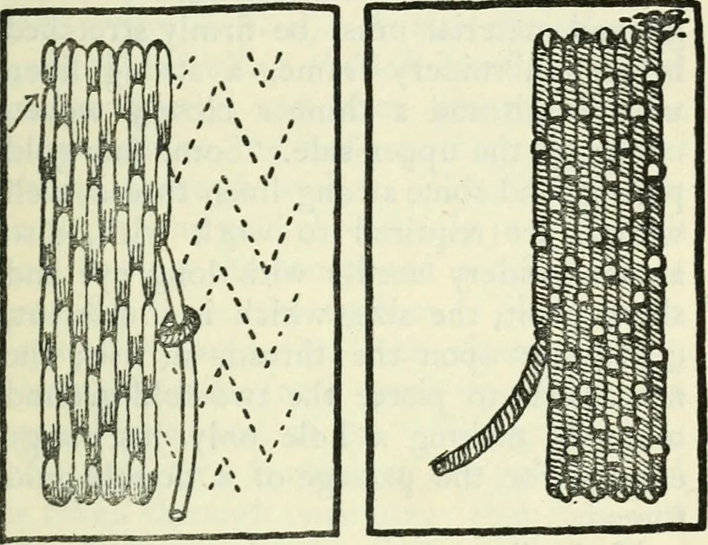 An illustration from Embroidery and tapestry weaving : a practical text-book of design and workmanship, 1912, leaf 244