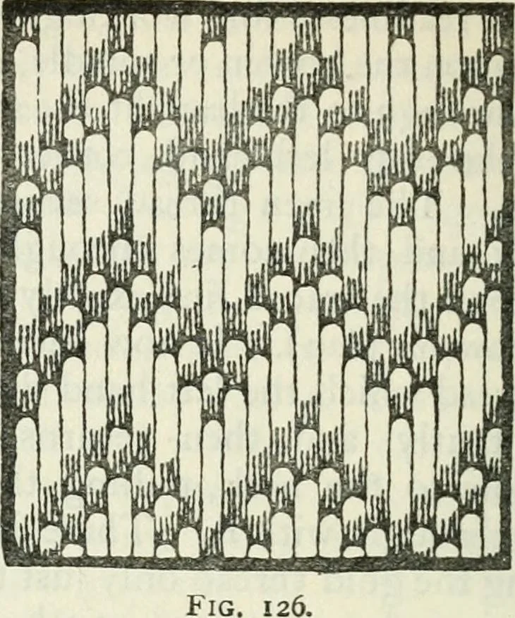 An illustration from Embroidery and tapestry weaving : a practical text-book of design and workmanship, 1912, leaf 247