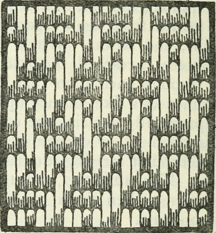 An illustration from Embroidery and tapestry weaving : a practical text-book of design and workmanship, 1912, leaf 247