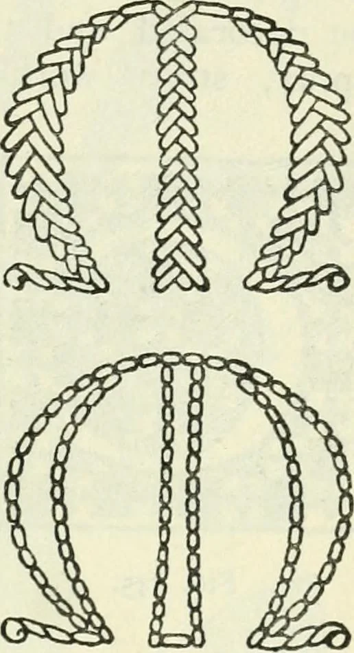 An illustration from Embroidery and tapestry weaving : a practical text-book of design and workmanship, 1912, leaf 268