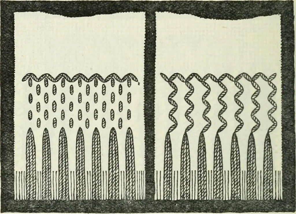 An illustration from Embroidery and tapestry weaving : a practical text-book of design and workmanship, 1912, leaf 287
