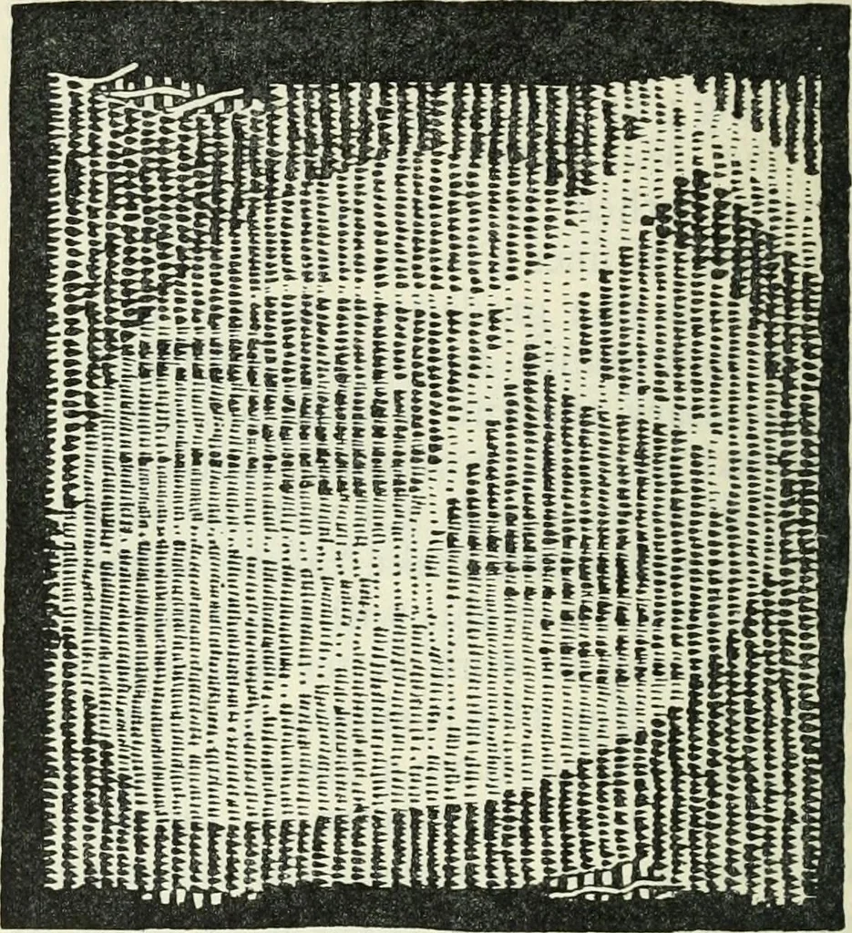 An illustration from Embroidery and tapestry weaving : a practical text-book of design and workmanship, 1912, leaf 353