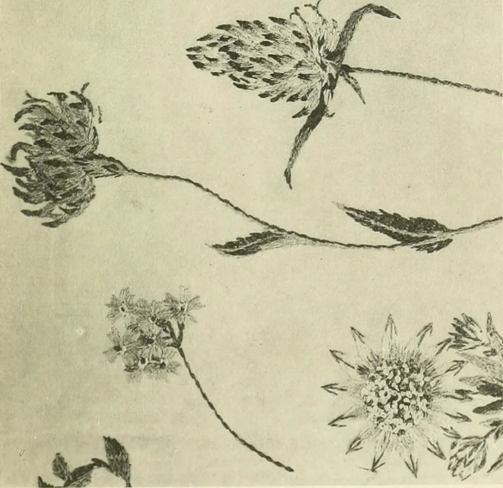 An illustration from Embroidery and tapestry weaving : a practical text-book of design and workmanship, 1912, leaf 394