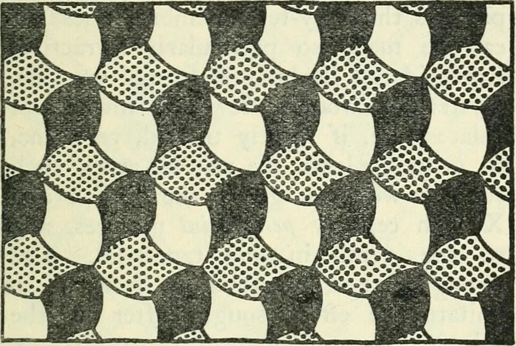 An illustration from Embroidery and tapestry weaving : a practical text-book of design and workmanship, 1912, leaf 68